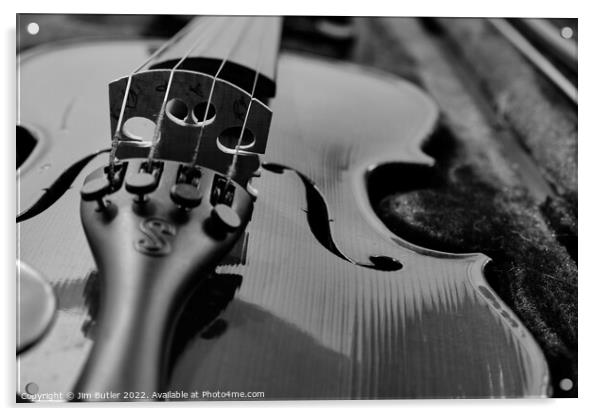 Monochrome Violin  Acrylic by Jim Butler