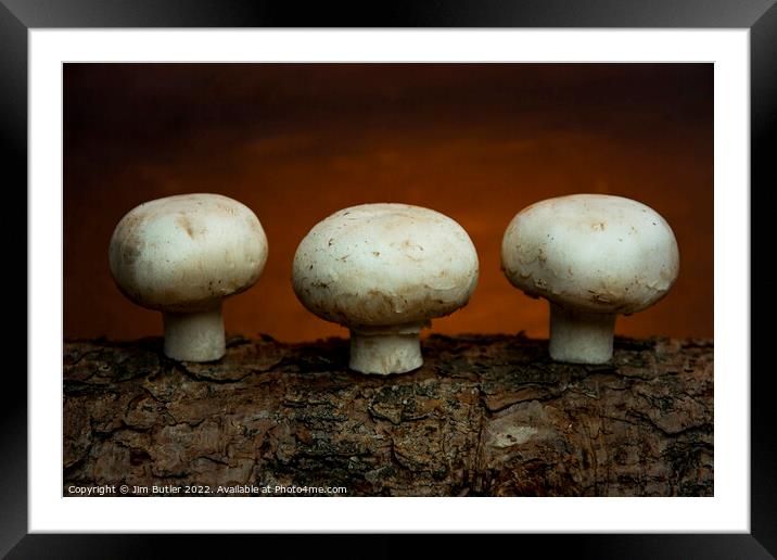 Fungi Framed Mounted Print by Jim Butler