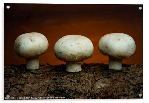 Fungi Acrylic by Jim Butler