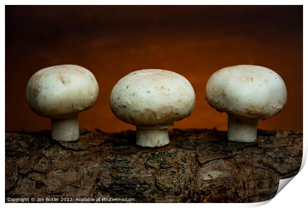 Fungi Print by Jim Butler