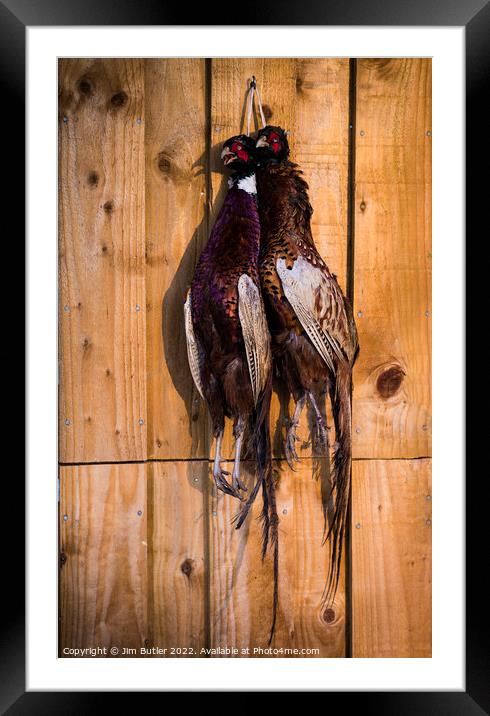 A brace of pheasants Framed Mounted Print by Jim Butler