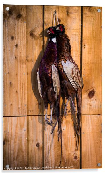 A brace of pheasants Acrylic by Jim Butler