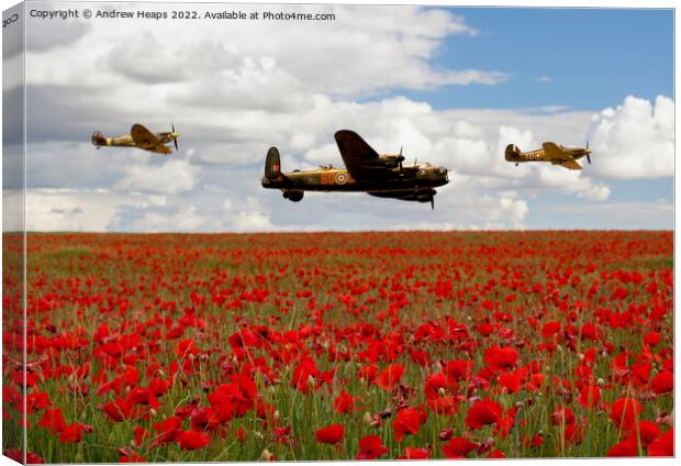 Flying bomber and spitfire planes over poppy field Canvas Print by Andrew Heaps