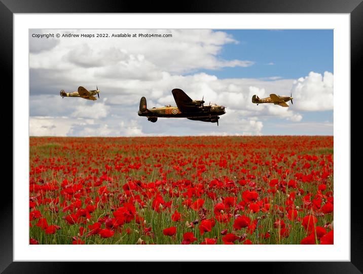 Flying bomber and spitfire planes over poppy field Framed Mounted Print by Andrew Heaps