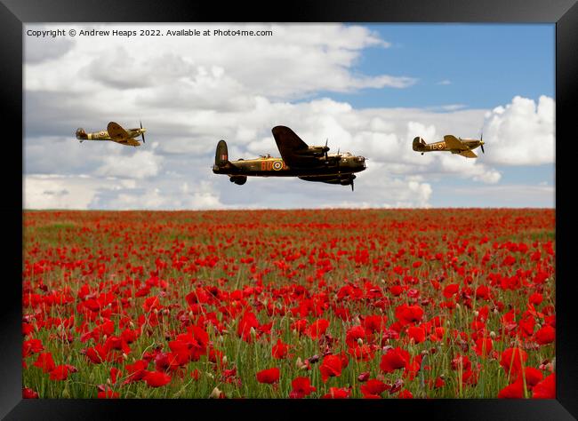 Flying bomber and spitfire planes over poppy field Framed Print by Andrew Heaps