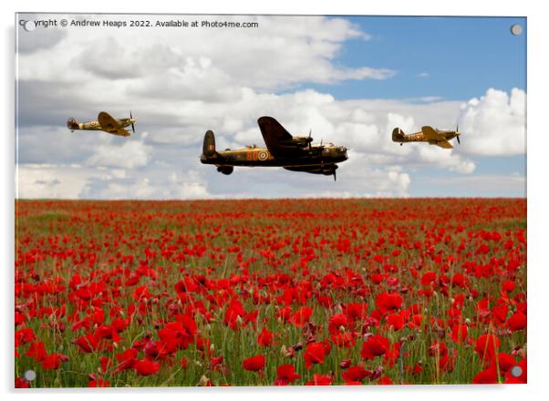Flying bomber and spitfire planes over poppy field Acrylic by Andrew Heaps