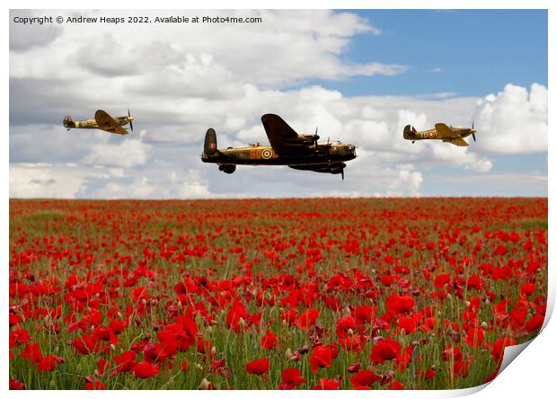 Flying bomber and spitfire planes over poppy field Print by Andrew Heaps