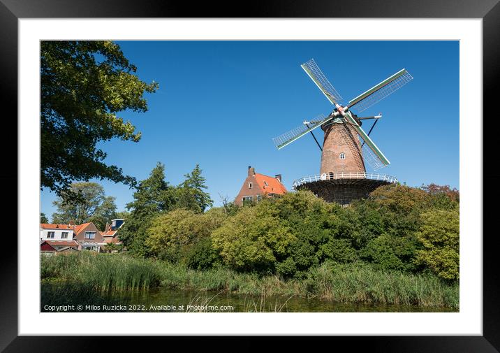 Traditional dutch windmill in the city of Goes, Province of Zeeland, The Netherlands	  Framed Mounted Print by Milos Ruzicka