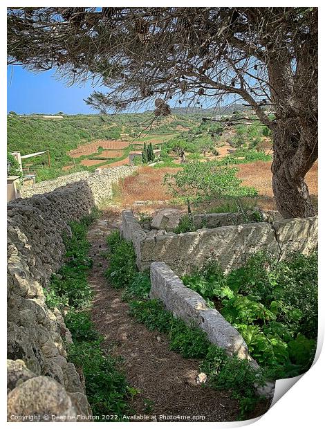 Country Path in Es Migjorn Menorca Print by Deanne Flouton