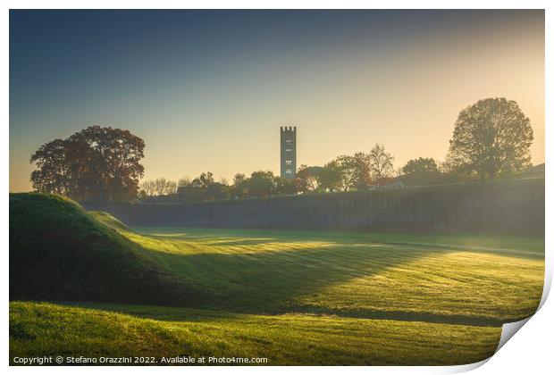 Lucca city walls and trees at sunrise. Tuscany, Italy Print by Stefano Orazzini