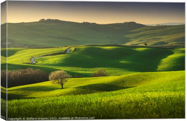 Springtime in Tuscany, rolling hills and trees. Pienza, Italy Canvas Print by Stefano Orazzini