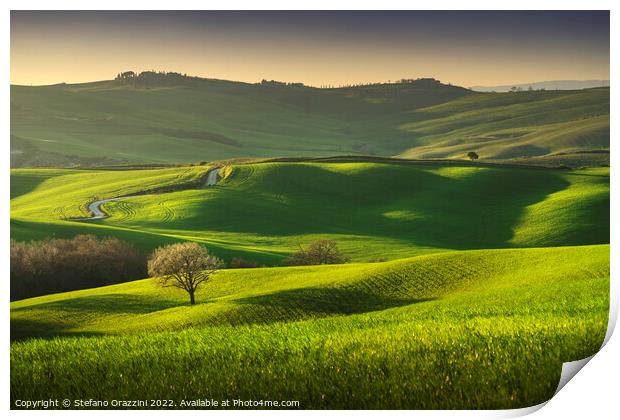 Springtime in Tuscany, rolling hills and trees. Pienza, Italy Print by Stefano Orazzini