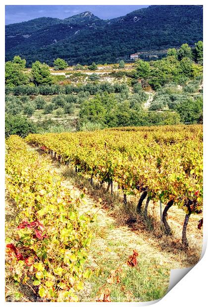 Provencal Wine Wonderland Print by Roger Mechan