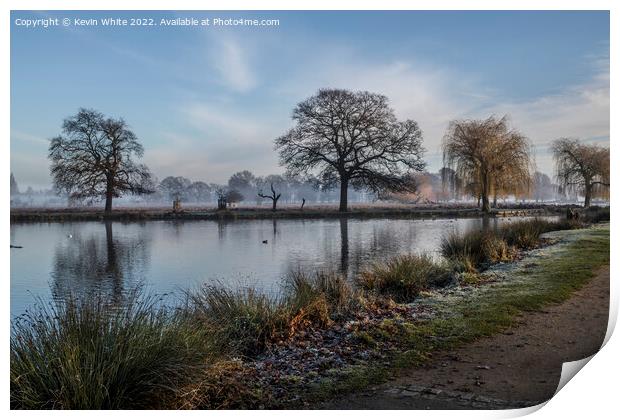 Cold January mornings in Surrey Print by Kevin White