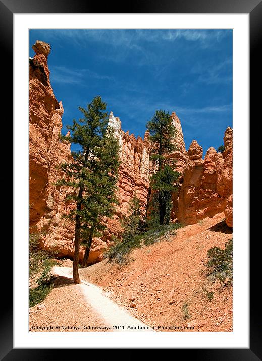 Red Sandstone, Bryce Canyon, Utah, USA Framed Mounted Print by Nataliya Dubrovskaya