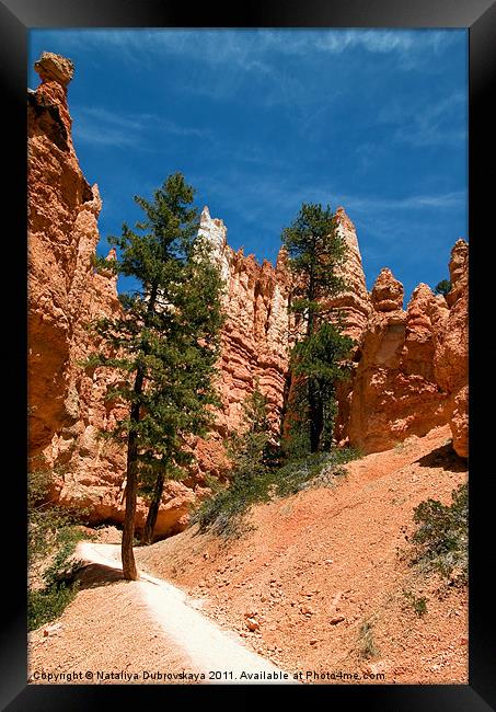 Red Sandstone, Bryce Canyon, Utah, USA Framed Print by Nataliya Dubrovskaya