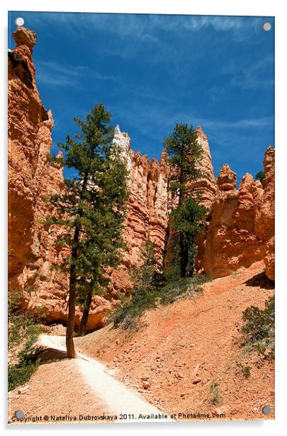 Red Sandstone, Bryce Canyon, Utah, USA Acrylic by Nataliya Dubrovskaya