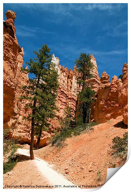 Red Sandstone, Bryce Canyon, Utah, USA Print by Nataliya Dubrovskaya
