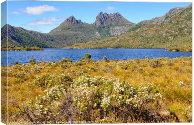 Cradle Mountain and Dove Lake - Tasmania Canvas Print by Laszlo Konya