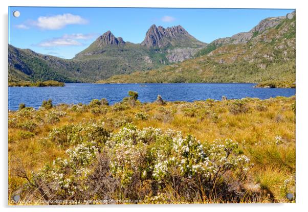 Cradle Mountain and Dove Lake - Tasmania Acrylic by Laszlo Konya