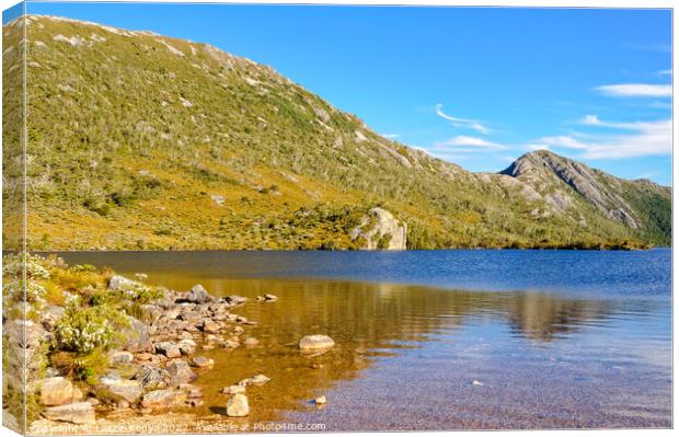 Dove Lake - Cradle Mountain Canvas Print by Laszlo Konya