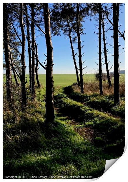 Field through trees Print by DEE- Diana Cosford