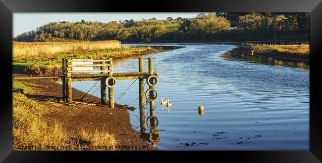 The Old Jetty At The Passage House Inn  Framed Print by Peter F Hunt