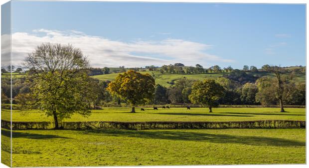 Fields near Milldale in the Peak District Canvas Print by Jason Wells
