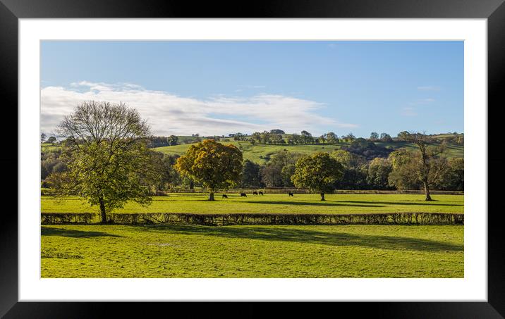 Fields near Milldale in the Peak District Framed Mounted Print by Jason Wells