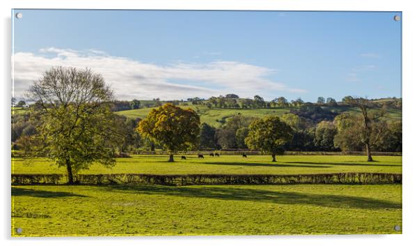 Fields near Milldale in the Peak District Acrylic by Jason Wells