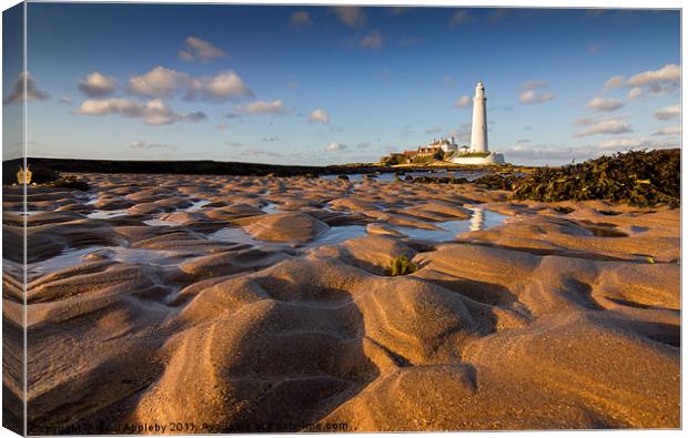 St Mary's Lighthouse low POV Canvas Print by Paul Appleby