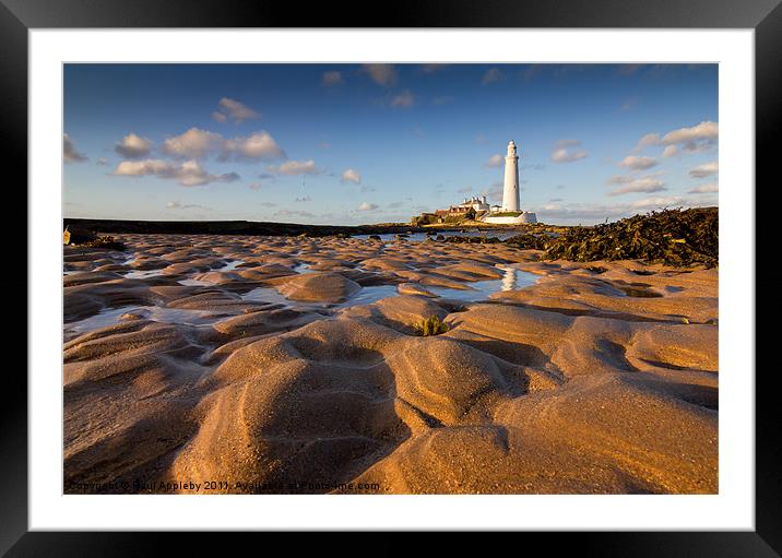 St Mary's Lighthouse low POV Framed Mounted Print by Paul Appleby