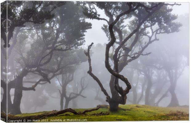 Fanal Forest in Madeira Canvas Print by Jim Monk