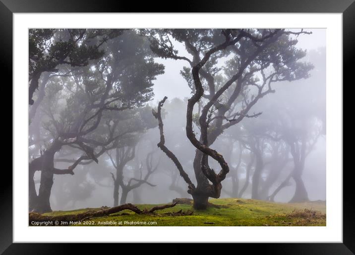 Fanal Forest in Madeira Framed Mounted Print by Jim Monk