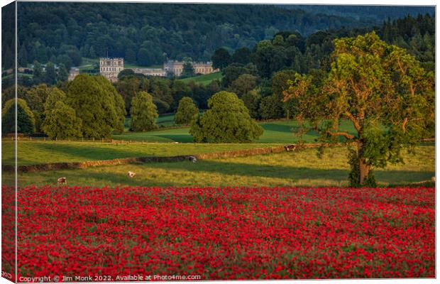 Poppies in the Peak District Canvas Print by Jim Monk