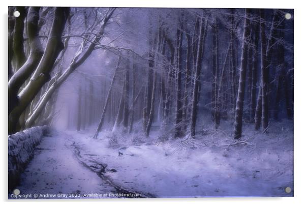 Peak District Winter Pathway - LPOTY 2021 Acrylic by Andy Gray