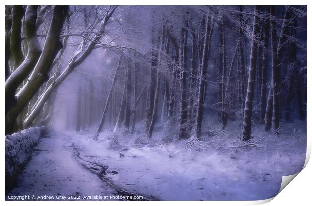 Peak District Winter Pathway - LPOTY 2021 Print by Andy Gray