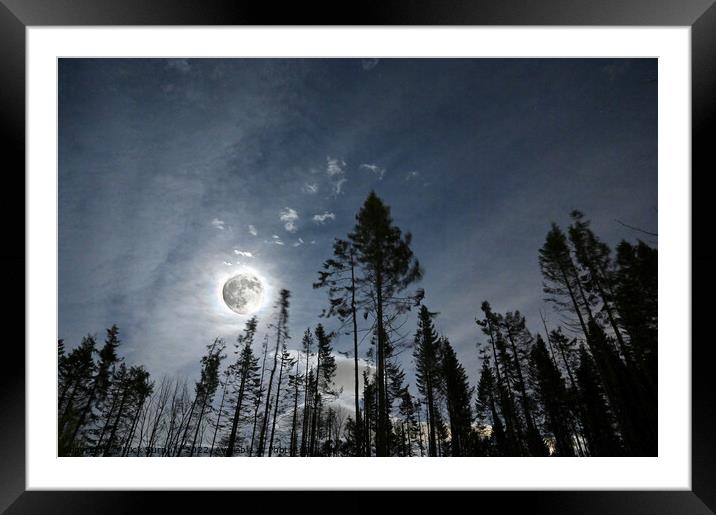 Full moon shining through the broken wood Framed Mounted Print by Mick Surphlis