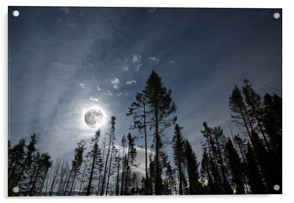 Full moon shining through the broken wood Acrylic by Mick Surphlis