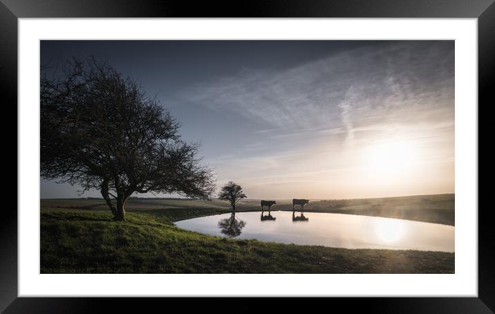 Dew Pond with Cows Framed Mounted Print by Mark Jones