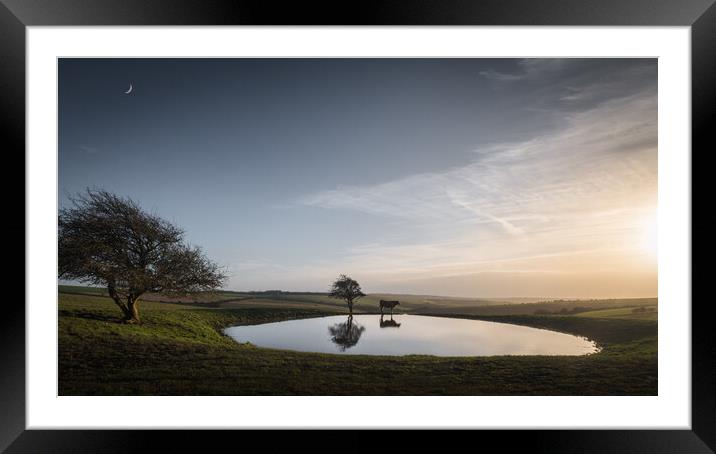 Dew Pond with Cow and Moon Framed Mounted Print by Mark Jones