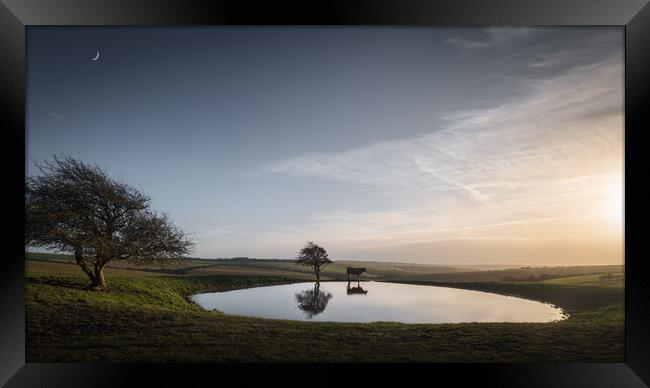 Dew Pond with Cow and Moon Framed Print by Mark Jones