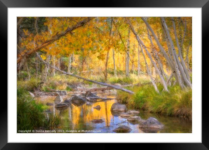 Duck Creek Autumn Framed Mounted Print by Donna Kennedy