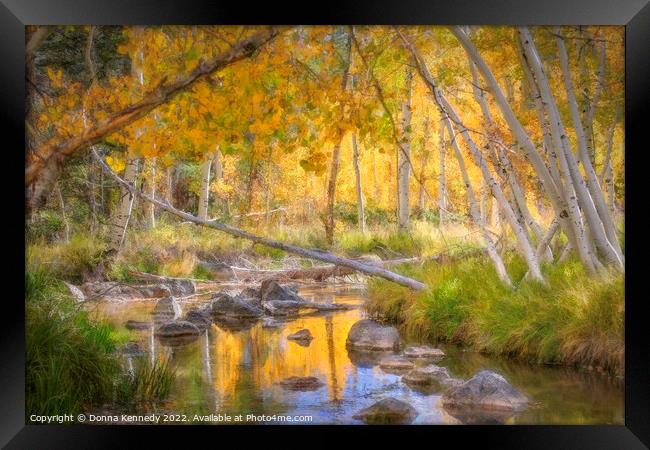 Duck Creek Autumn Framed Print by Donna Kennedy