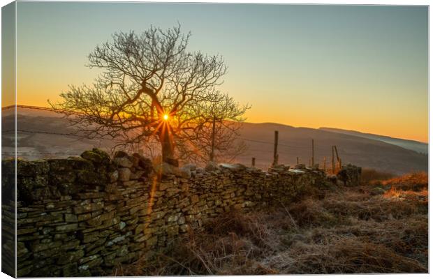 Sunrise on Gwrhyd mountain Canvas Print by Leighton Collins