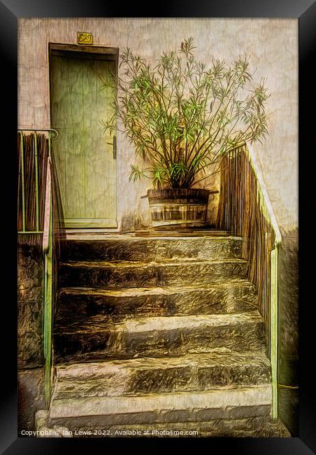 Steps To The Front Door Framed Print by Ian Lewis