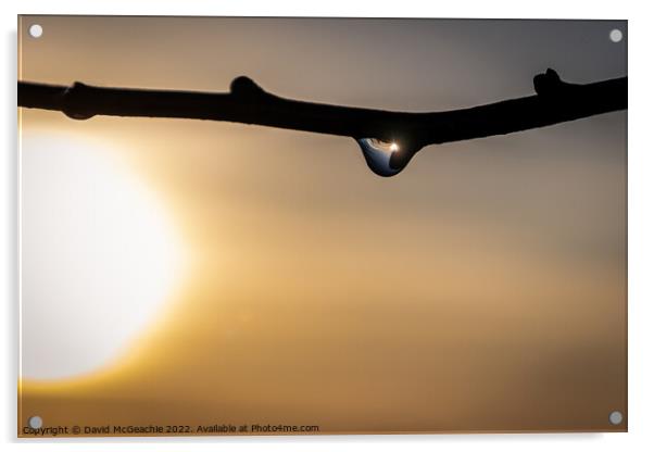 Sunrise in a raindrop Acrylic by David McGeachie