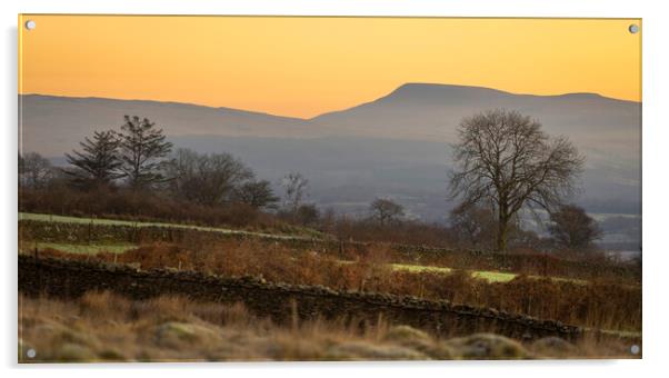 Dawn on Gwrhyd mountain Acrylic by Leighton Collins