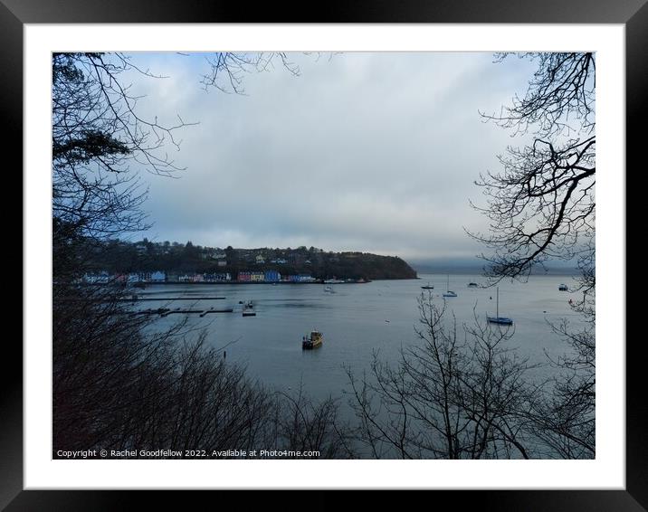 Tobermory through the trees Framed Mounted Print by Rachel Goodfellow