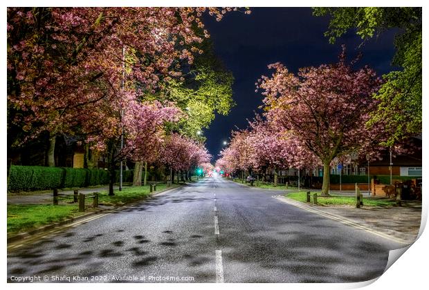 Blooming Blossoms in Preston Print by Shafiq Khan